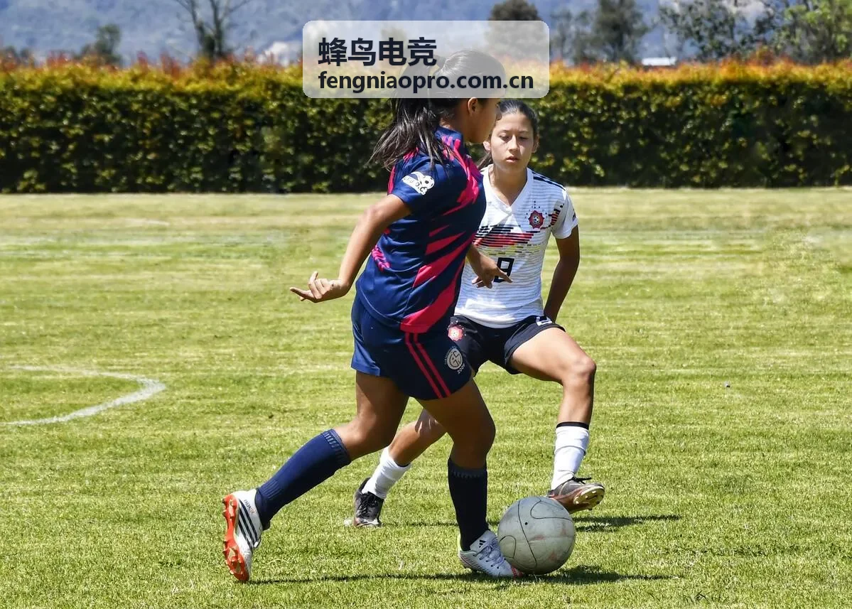 蜂鸟电竞实时数据界面